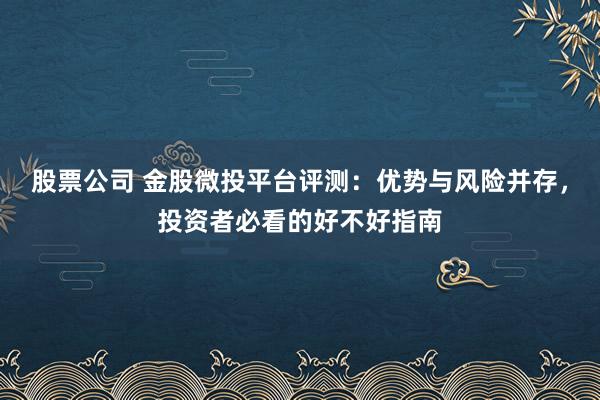 股票公司 金股微投平台评测：优势与风险并存，投资者必看的好不好指南