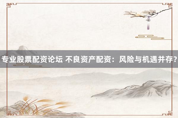 专业股票配资论坛 不良资产配资：风险与机遇并存？