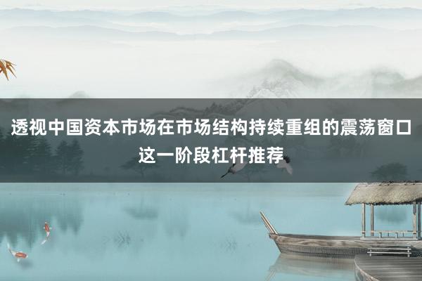 透视中国资本市场在市场结构持续重组的震荡窗口这一阶段杠杆推荐