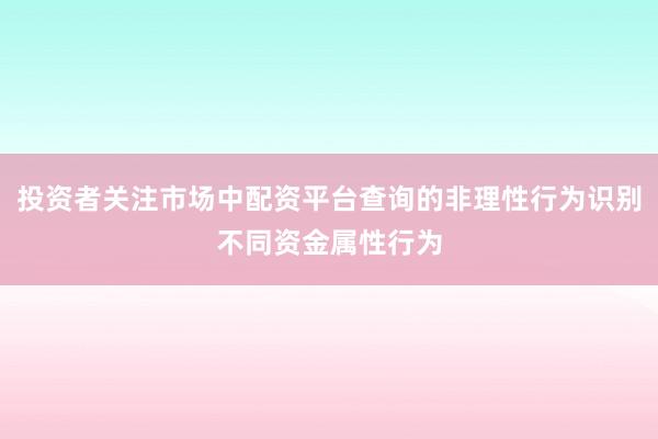 投资者关注市场中配资平台查询的非理性行为识别不同资金属性行为